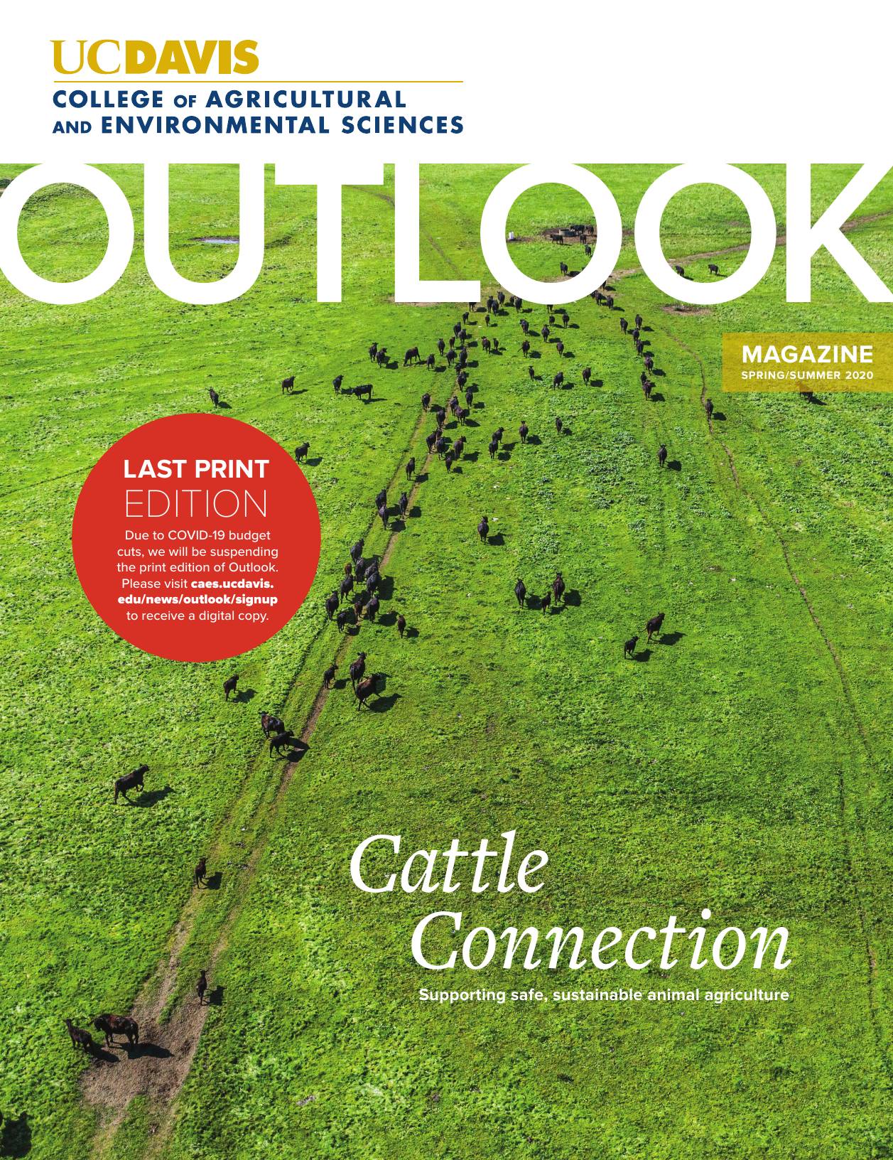 CA&ES Outlook Spring/Summer 2020