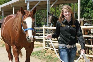 horse day