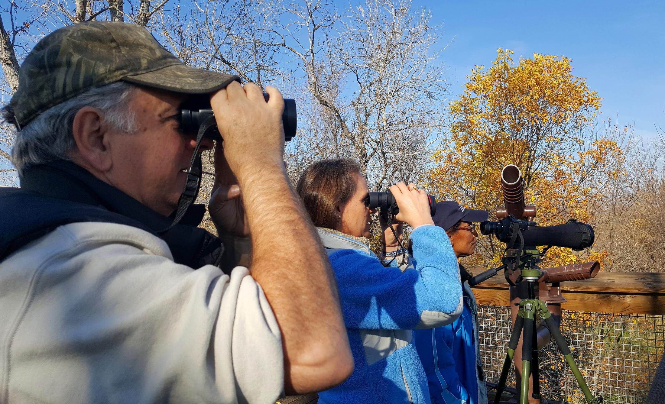 Dean Dillard looking at birds.