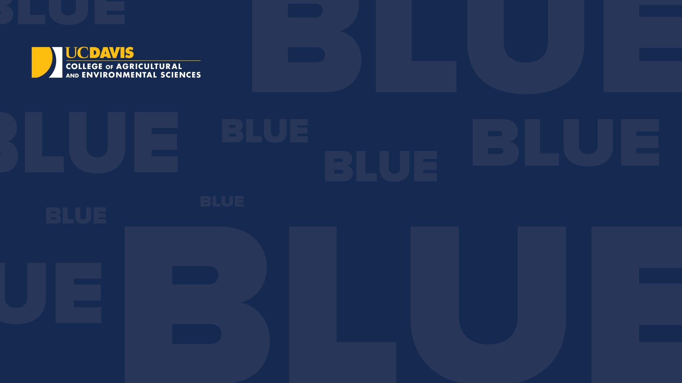 Blue herd wallpaper