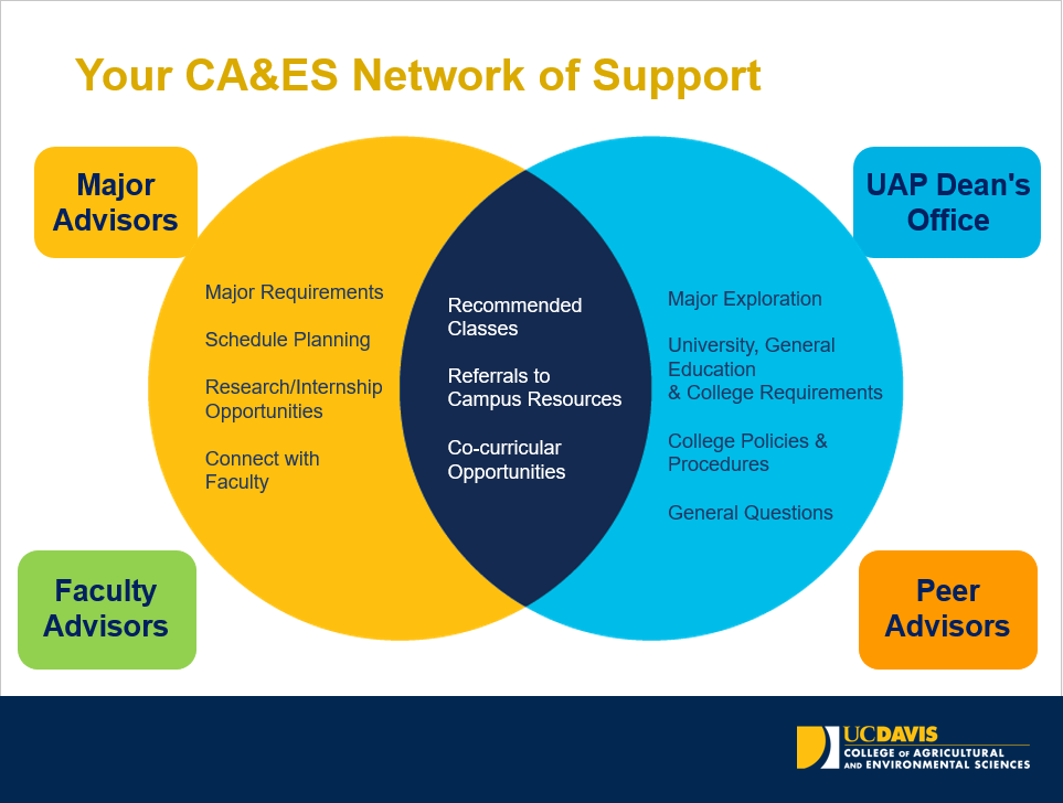 Network of Support