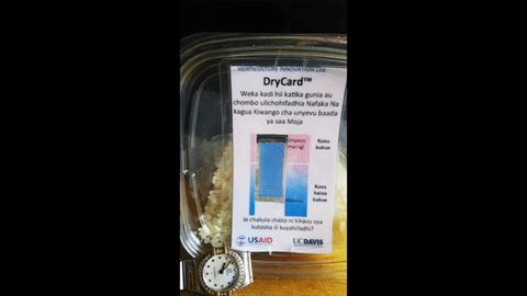 This 8-second gif shows a timelapse of a DryCard changing color with insufficiently dry rice. This clip is taken from a 5-minute video made by Michael Reid.
