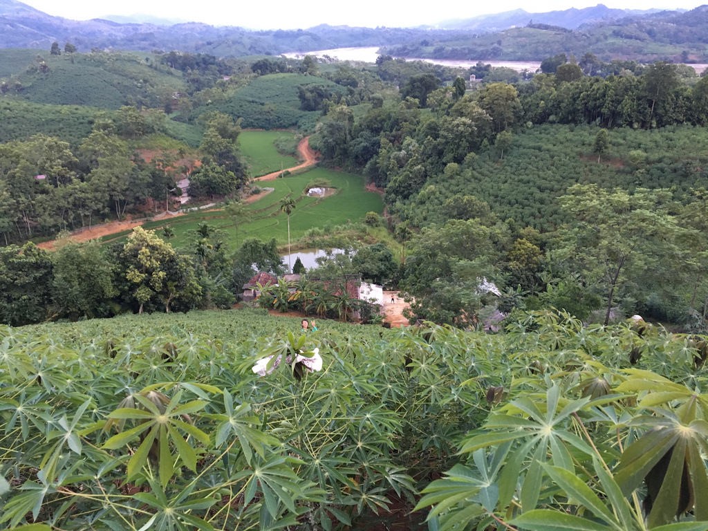 Valley