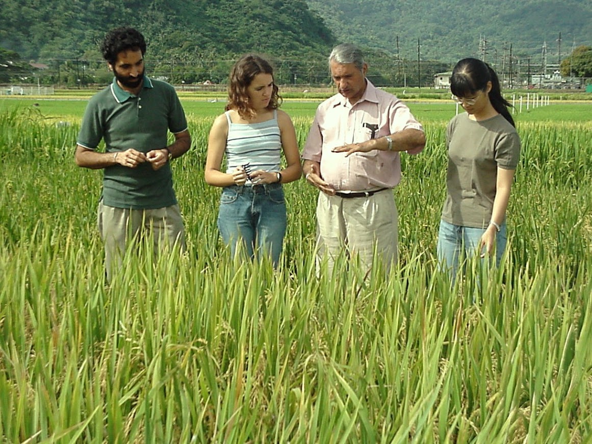 "People in a field"