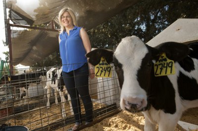 professor with cow