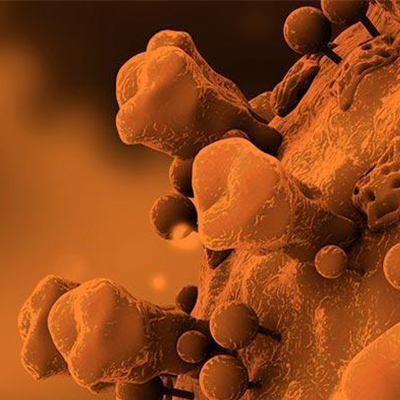 Illustration of the COVID-19 virus.