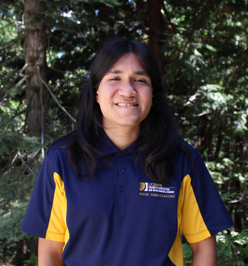 Smiling young person with long dark hair wearing navy-yellow university polo, wooded background