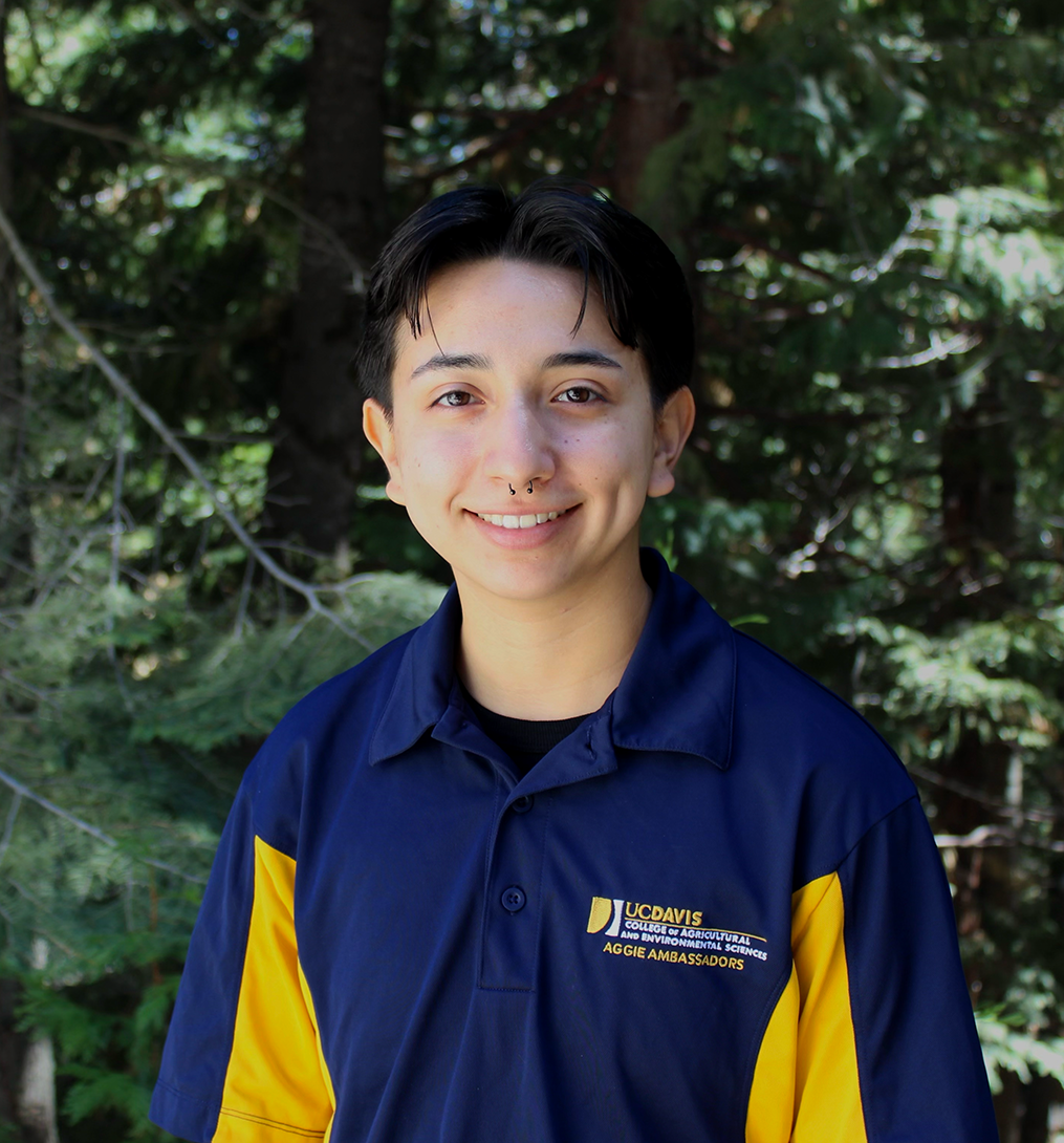 Smiling person in navy and yellow university polo, evergreen trees in background