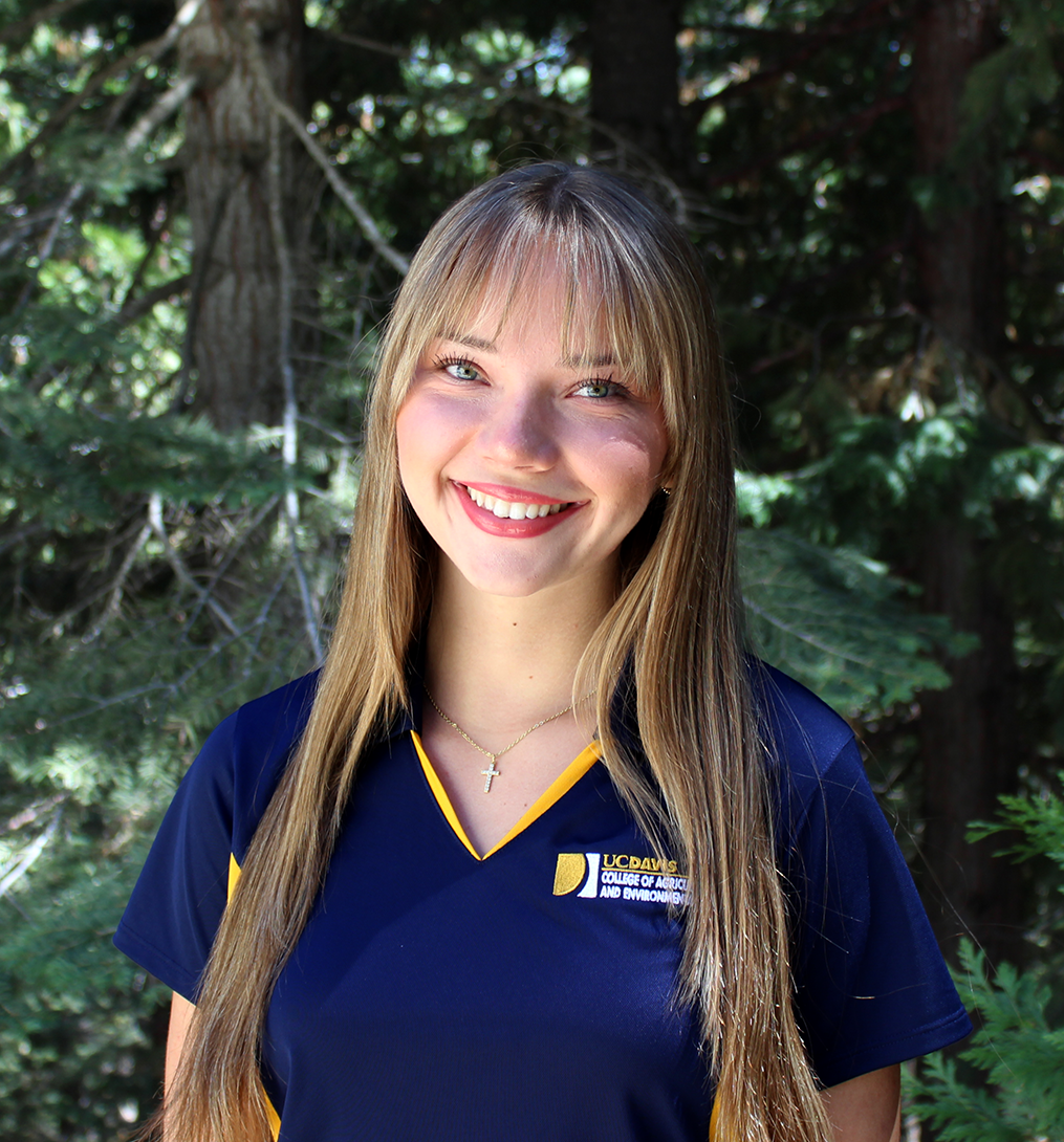 Portrait of a smiling young woman with long blonde hair in navy shirt, evergreen background