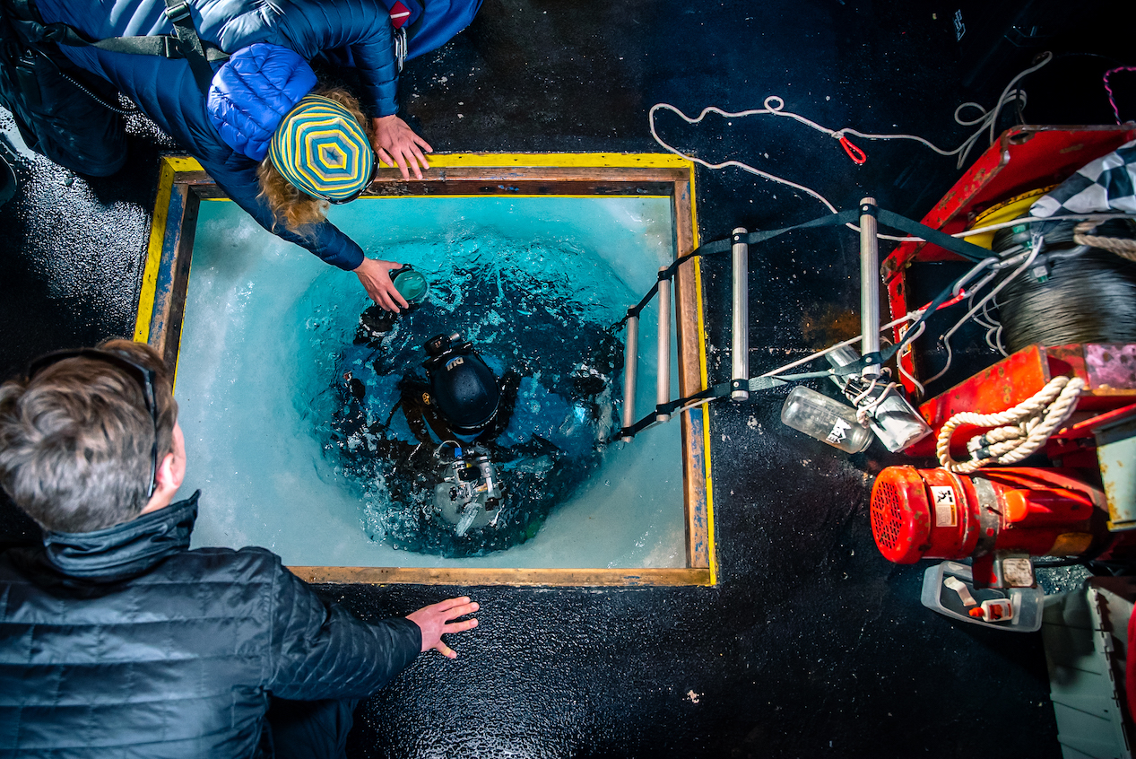 Gone fishing. Polar scientist Amanda Frazier enters the ice. (Kira Morris)