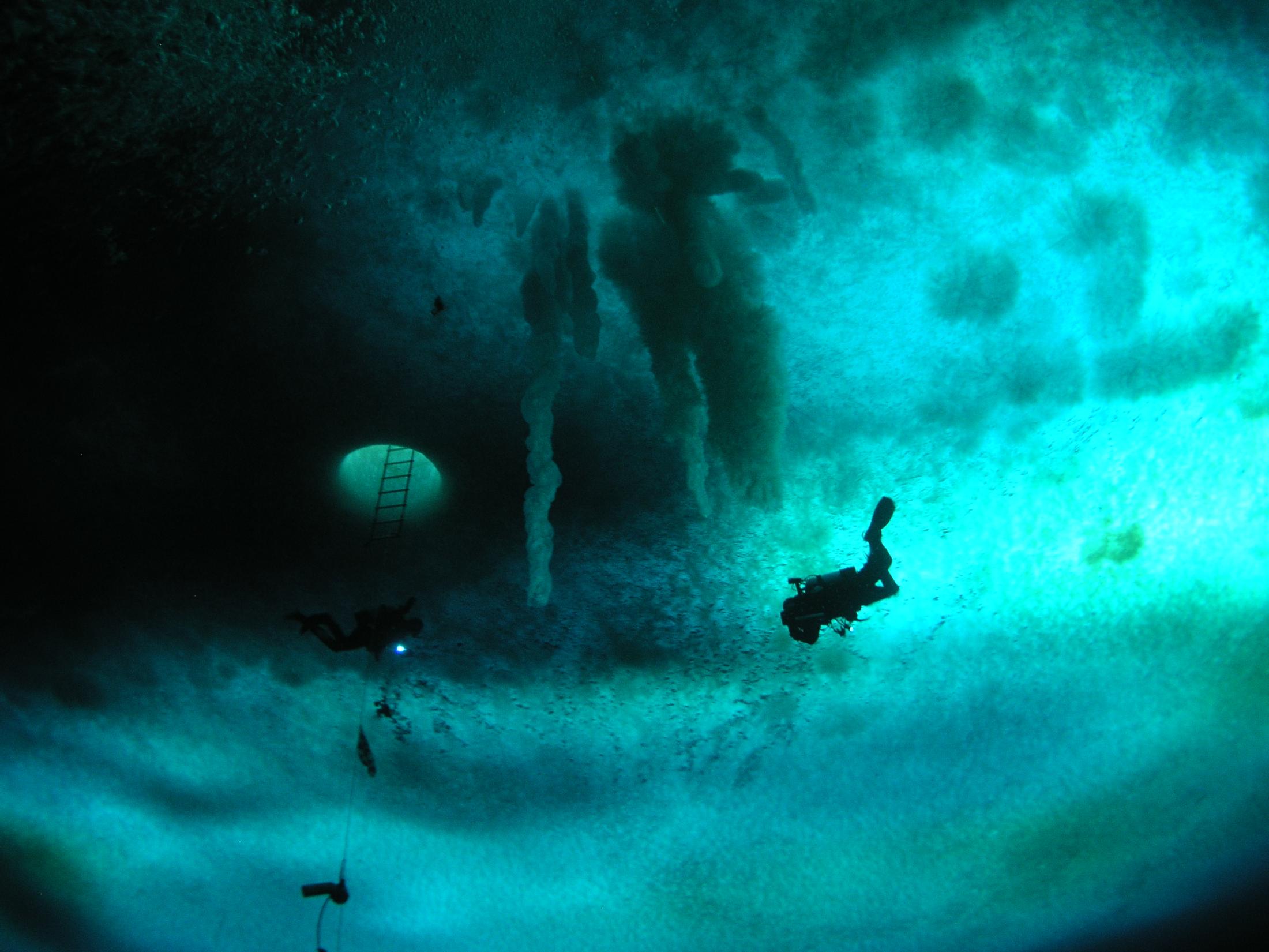 Under ice of Antarctica’s McMurdo Sound. (Rob Robbins/NSF)