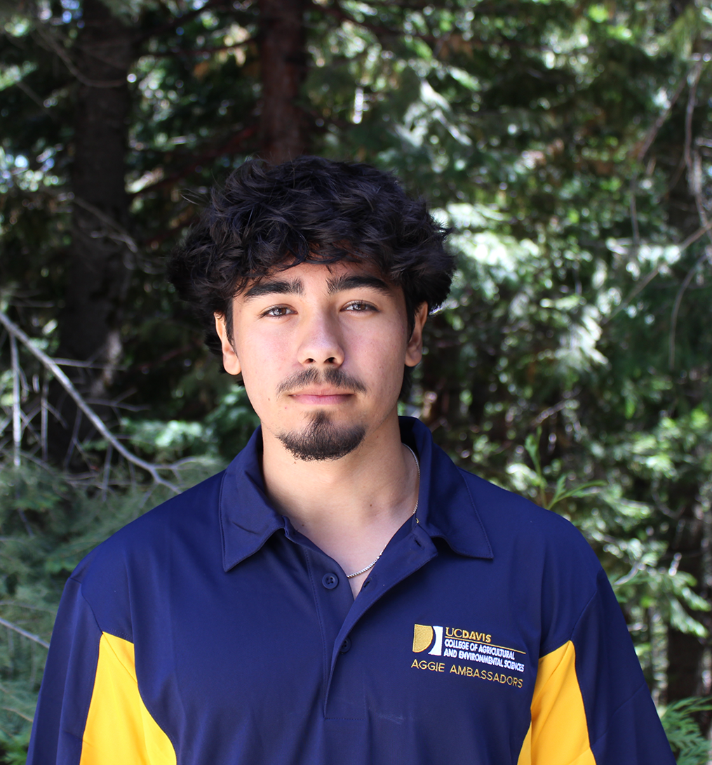 Head-and-shoulders portrait of young man in navy-yellow polo, green forest background