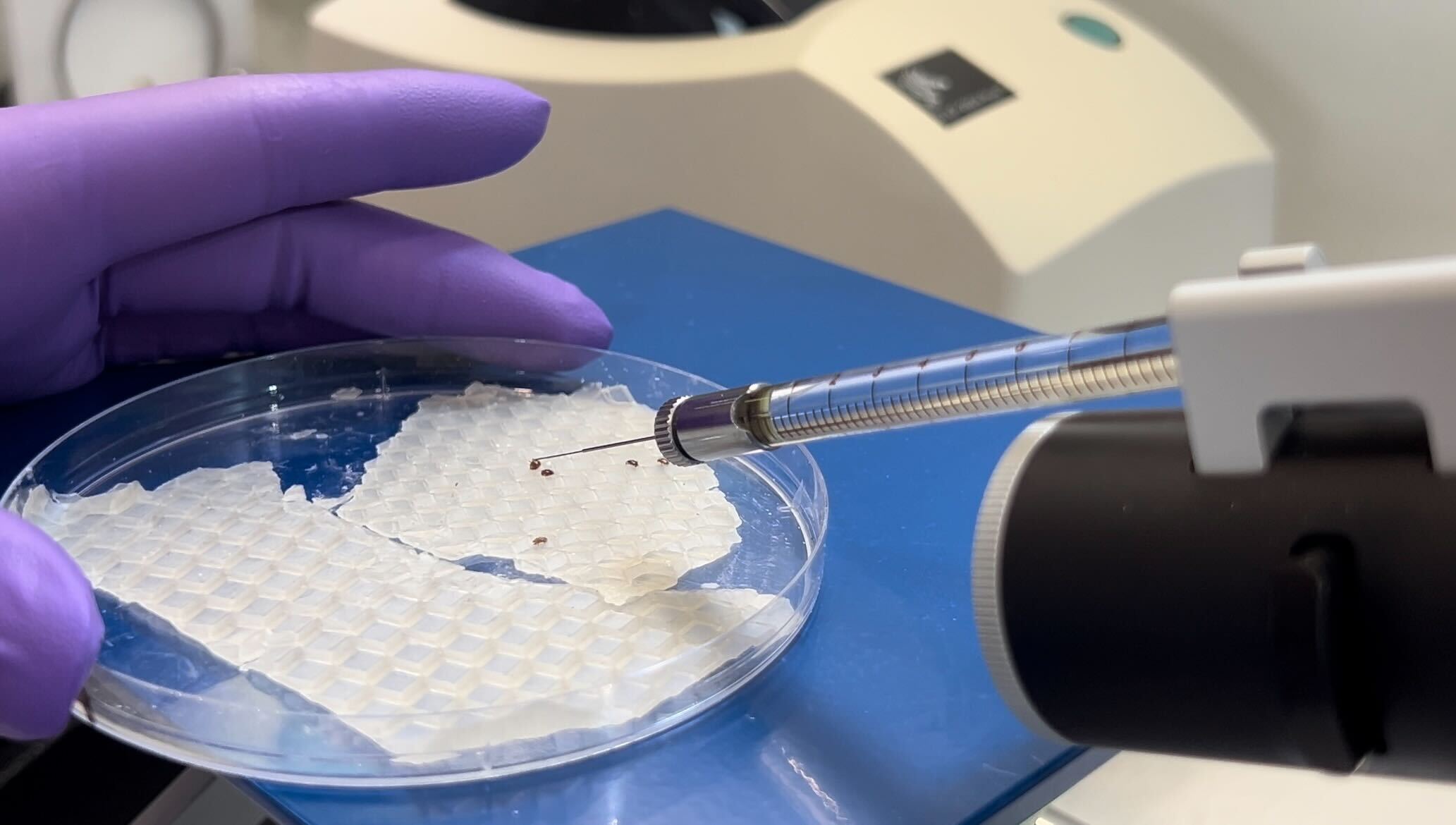 A gloved hand holds a syringe above a petri dish with a white material.
