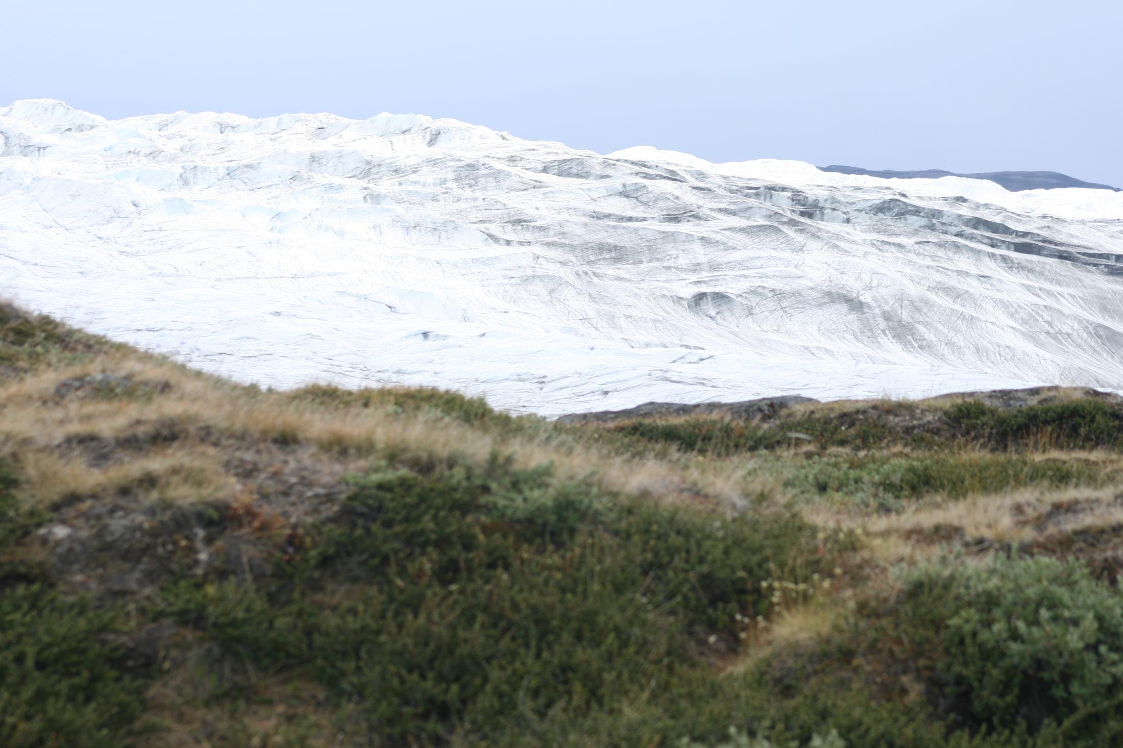 Eric Post’s study site in southwest Greenland. (Eric Post/UC Davis)