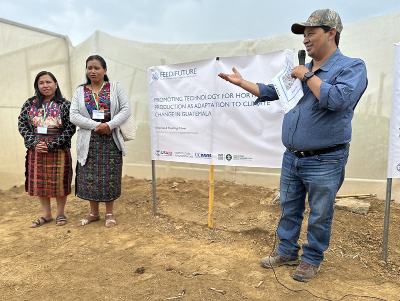Local indigenous Mayan small-scale producers at project field site in Guatemala. Photo: Heather Hayashi.