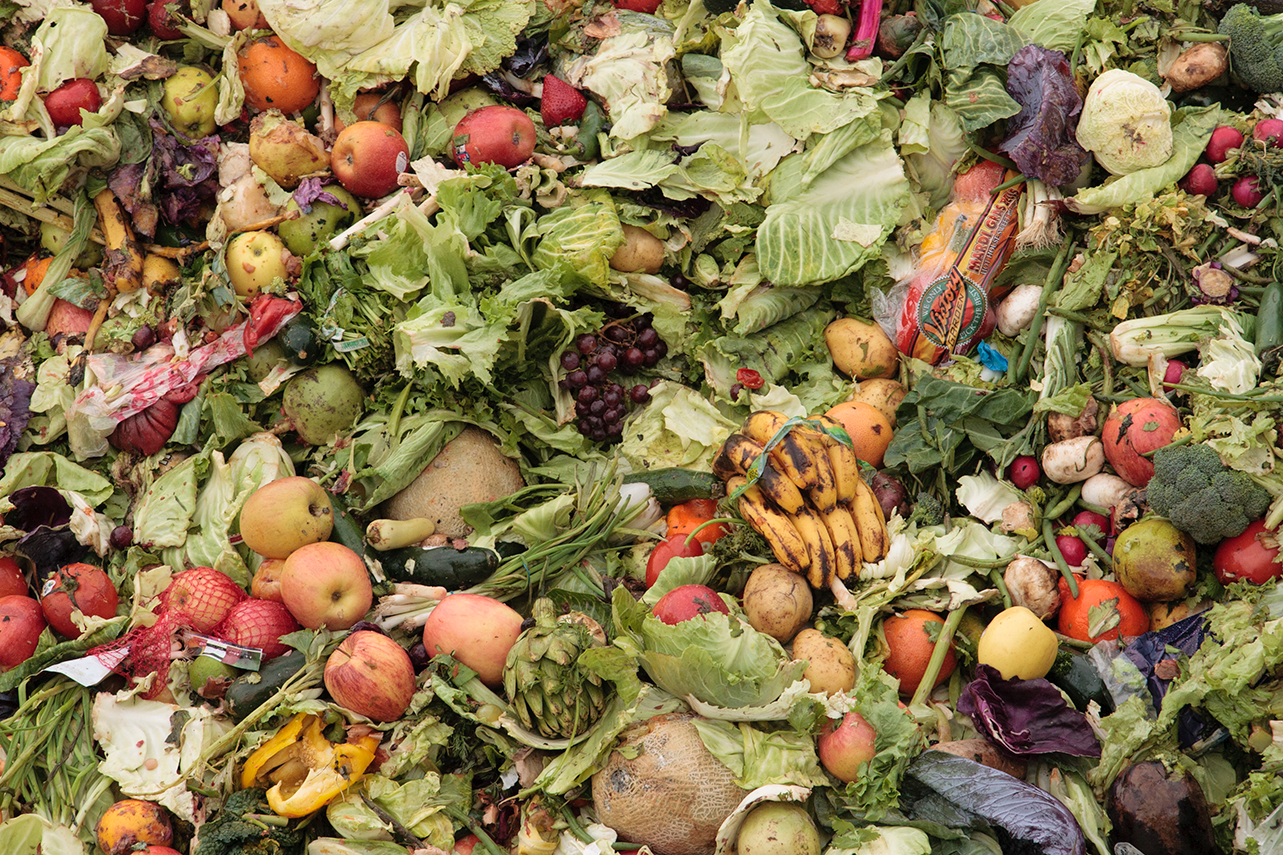 A pile of rotten food.