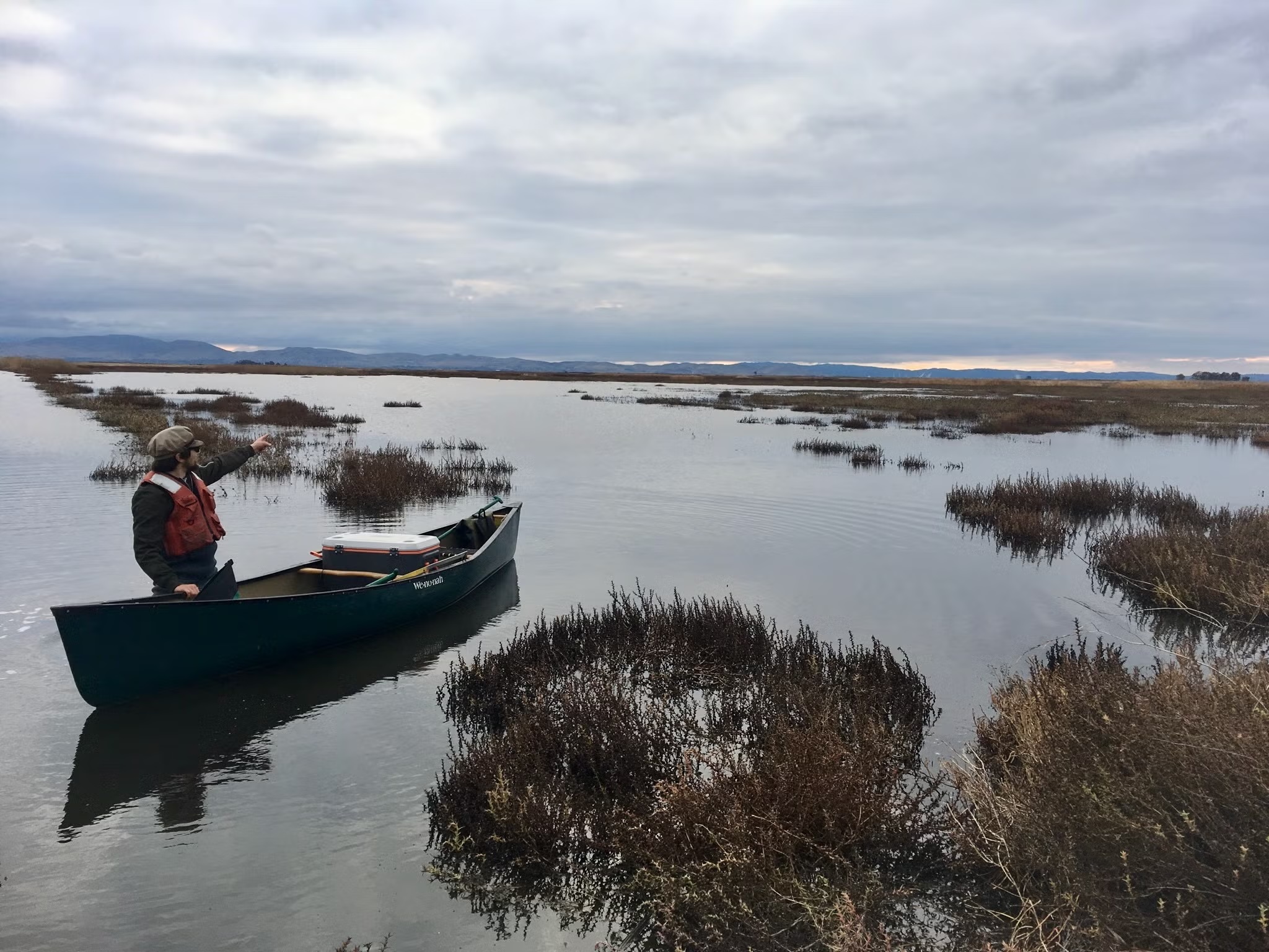 A person in a canoe navigates through a marshy water area with cloudy skies above.