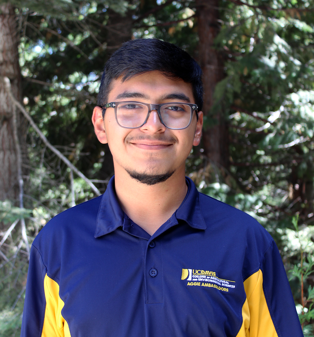 Headshot of smiling young man with glasses in navy-yellow polo, evergreen background