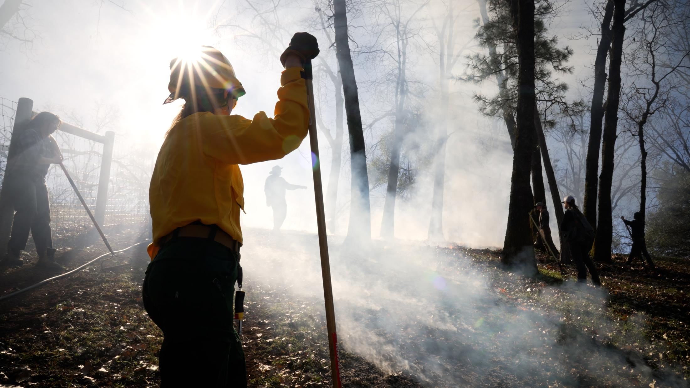 Smoke drifts over a clearing during a Placer County prescribed burn. California aims to treat 1 million acres each year with fire and other fuel-reduction efforts. Helping landowners learn to burn safely is part of the goal. (Tim McConville/UC Davis)