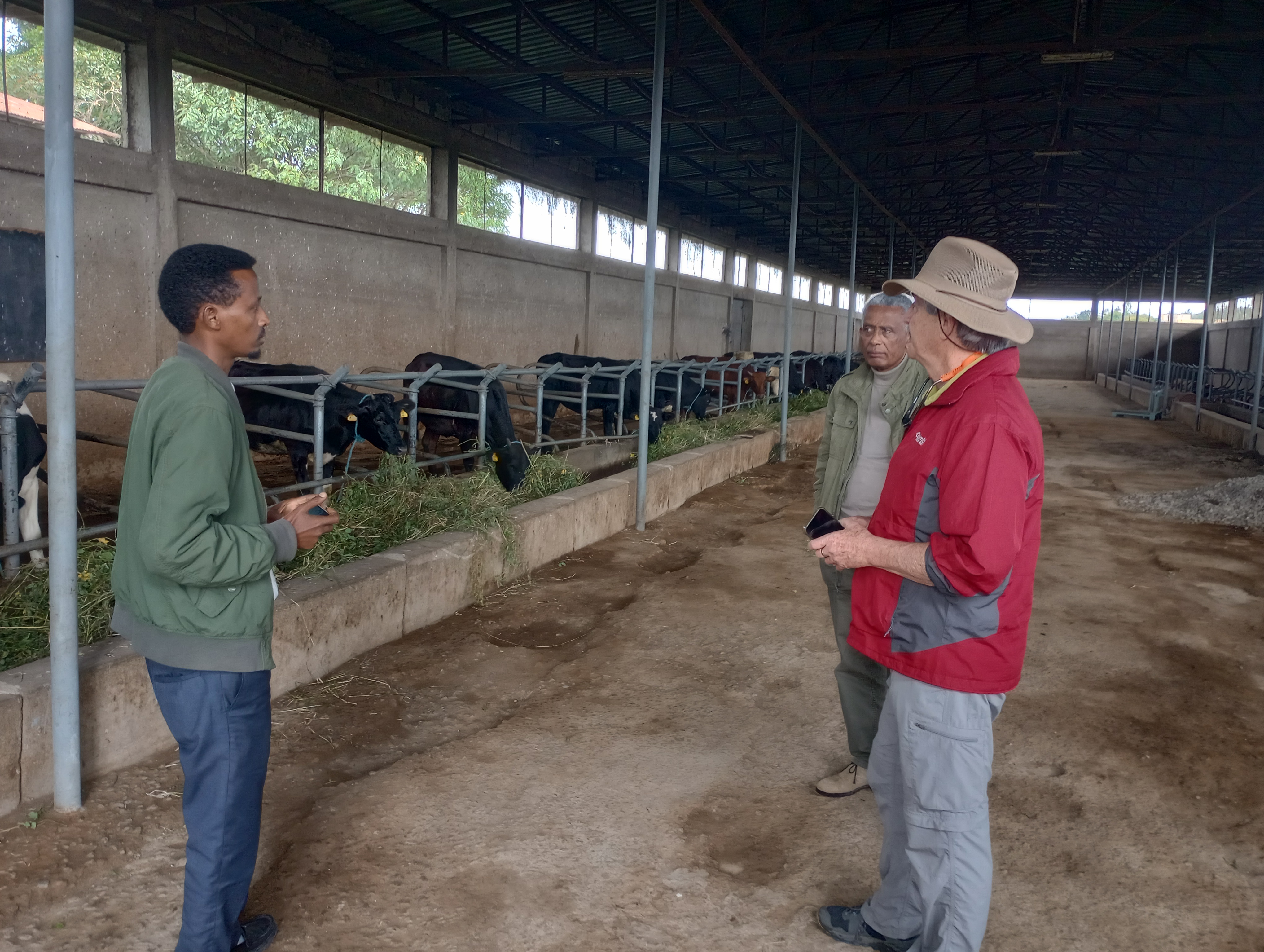 People meeting in a dairy barn