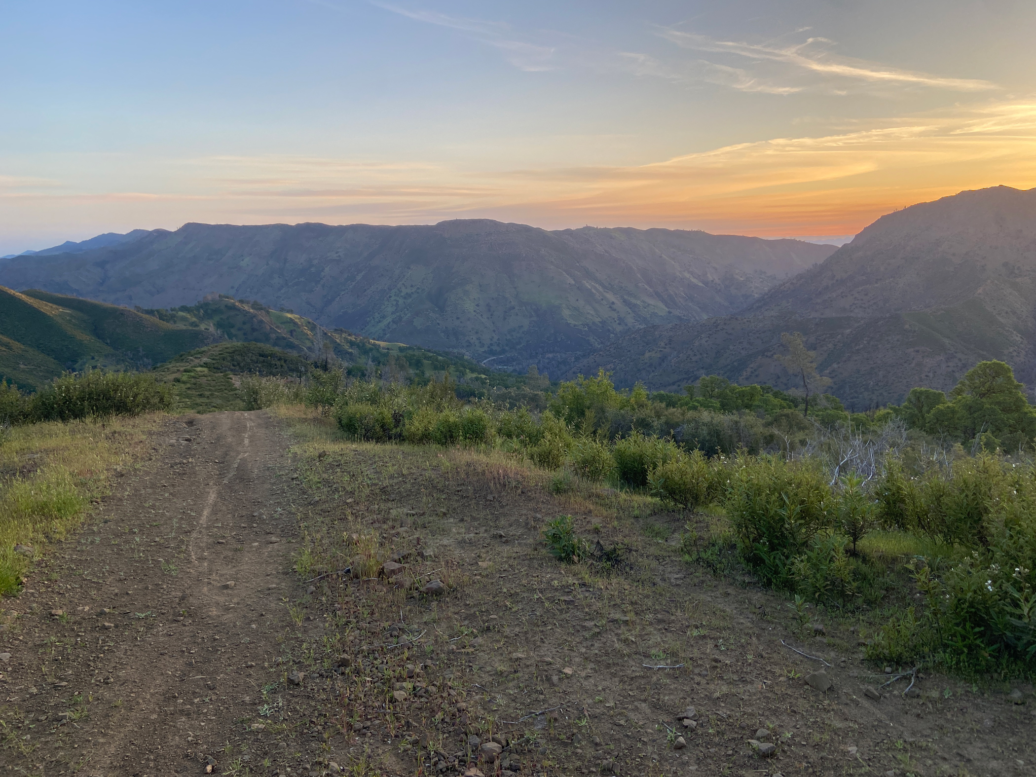A sunrise view from the top of Rayhouse Road in Capay Valley. This is where the team saw and heard several migratory birds. Photo by: Zane Pickus, UC Davis.