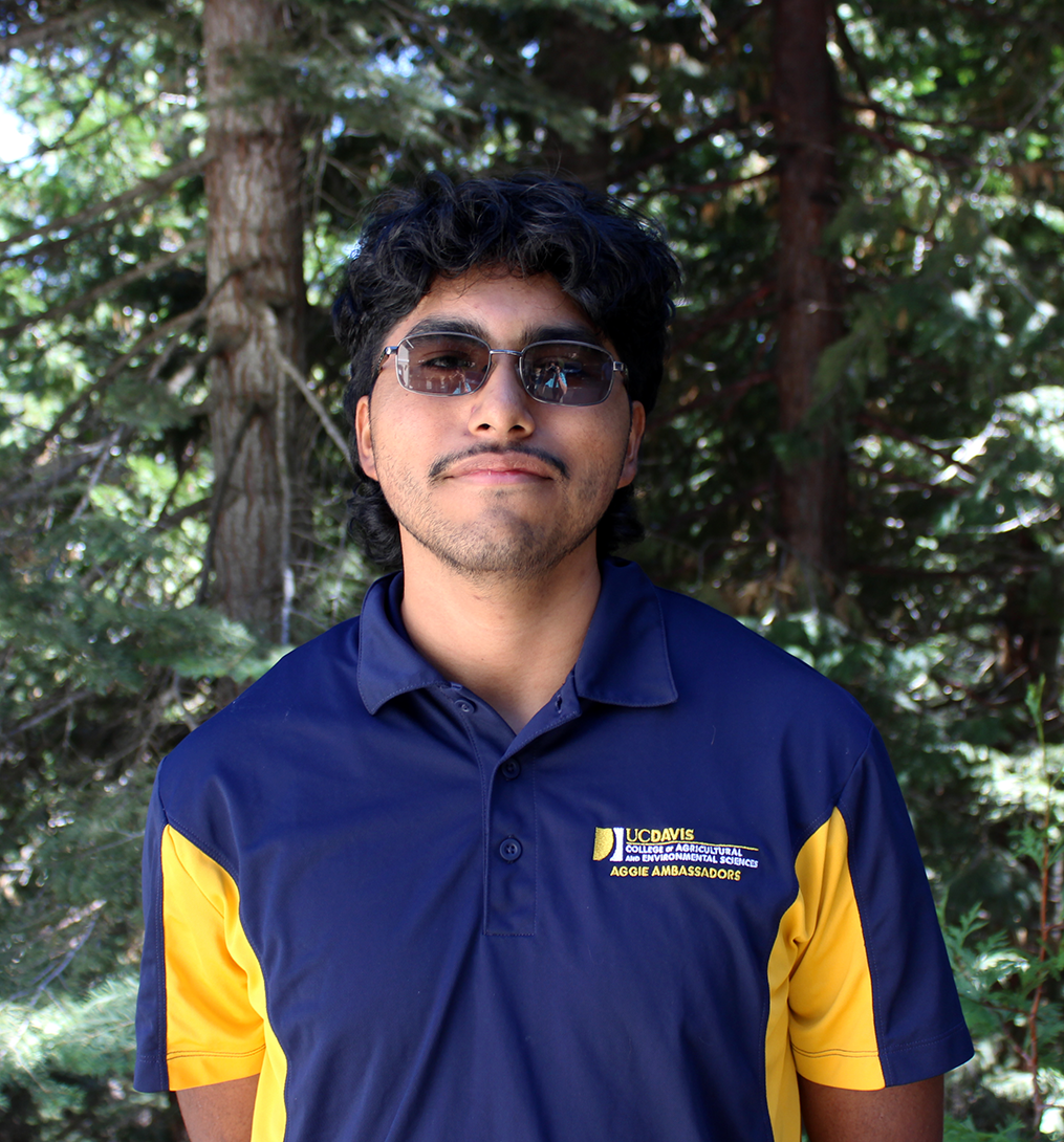 Young man wearing sunglasses and blue-yellow polo with logo, trees behind