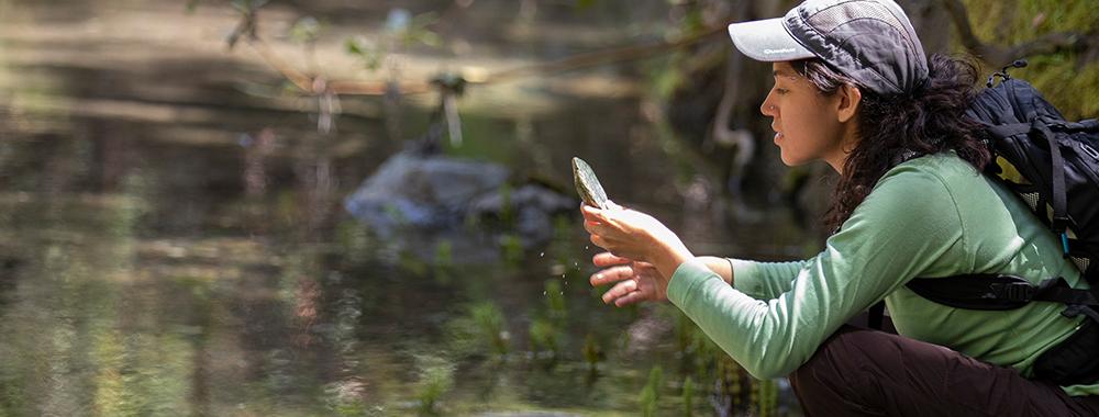 A group of students went down to the tributary to the Russian River that runs alongside the UC Hopland Research and Extension Center to practice taking measurements of the water. 