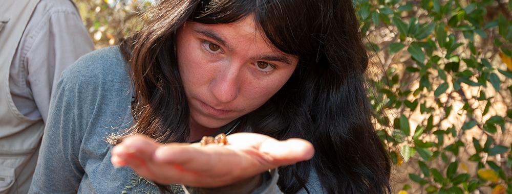 A student examines soil while on a class field trip.