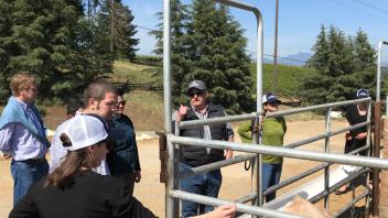 Peopl at a cow pen