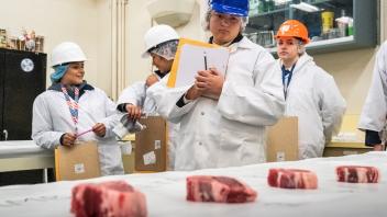 Meat Judging