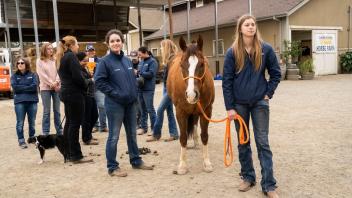 Light Horse