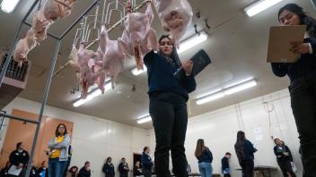 Poultry Judging