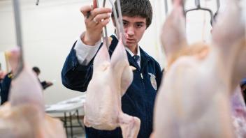 Poultry Judging