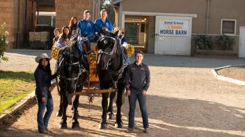The Draft Horse and Driving Club at UC Davis is one of 30 student organizations and clubs associated with the college.