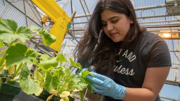 Interning at UC Davis CA&ES facilities offers students the opportunity to put their classroom teachings into action.