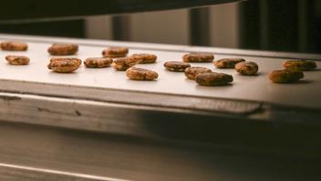 UC Davis startup Spectral Analytix applies machine vision, robotics and machine learning to automatically classify or sort seeds and insects. (Hector Amezcua/UC Davis)