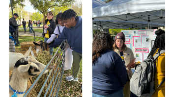 Visitors pet a goat in the left photo. In the right photo a UC Davis staff member talks to individuals.