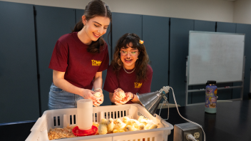 Students watching over baby chicks.