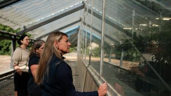 Three people looks inside a greenhouse.