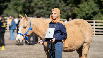 A woman in a hijab leads a horse with a rein.