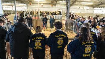 FFA students standing around a pig pen during Field Day.