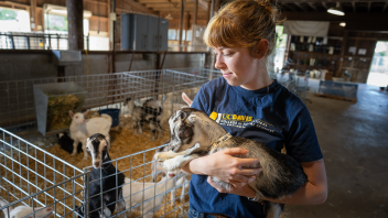 A female student holds a newborn goat.