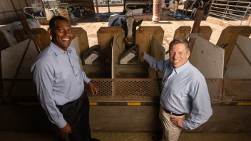 Ermias Kebreab and Matthias Hess are teaming up with UC Berkeley and UC San Francisco researchers on a $70-million donor-funded initiative that aims to cut methane emissions from cattle by using the genome-editing tool CRISPR on microbes in the cows’ gut.