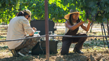 The Plant Agricultural Biology Graduate Admissions Pathways (PABGAP) program brought students from Historically Black Colleges and Universities to UC Davis for seven immersive weeks of research, field work, training and mentoring. 