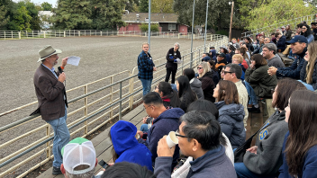  From the Horse Barn to the Bohart Museum, UC Davis students showed off our campus to their friends and relatives during the annual Parent and Family Weekend. (Jen Thayer/UC Davis)