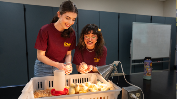 Students, alumni, staff, the community and others attended Picnic Day, which included games, interactive displays and opportunities to meet the animals we care for like these baby chicks. (Jael Mackendorf/ UC Davis)