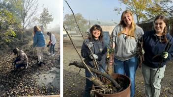 Collage of students working outside in the fall.