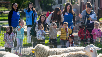 Toddlers and adults stand behind a fence and watch sheep graze.