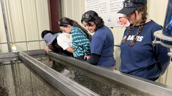 Students peer into fish tanks.