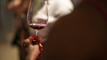 A hand holding a glass of wine.